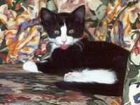 Bijan in 2000