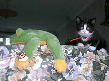 Bijan in 2000