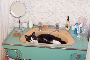 Bijan in the bowl year 2007