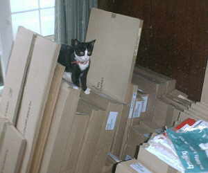 I'm the King of the Castle!