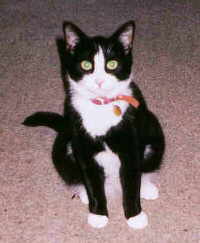 Bijan in 2002