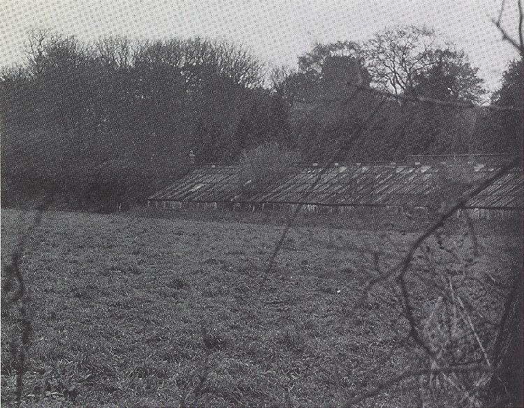 The greenhouses in the old walled garden